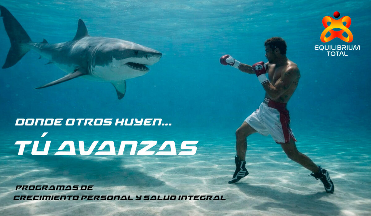 boxeador lucha contra tiburón